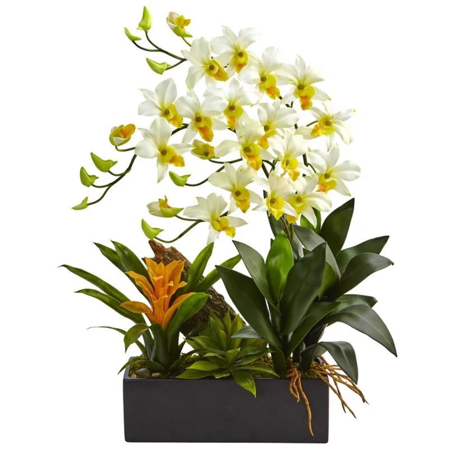 Cream Silk Dendrobium Orchid and Bromeliad Arrangement in Black Planter