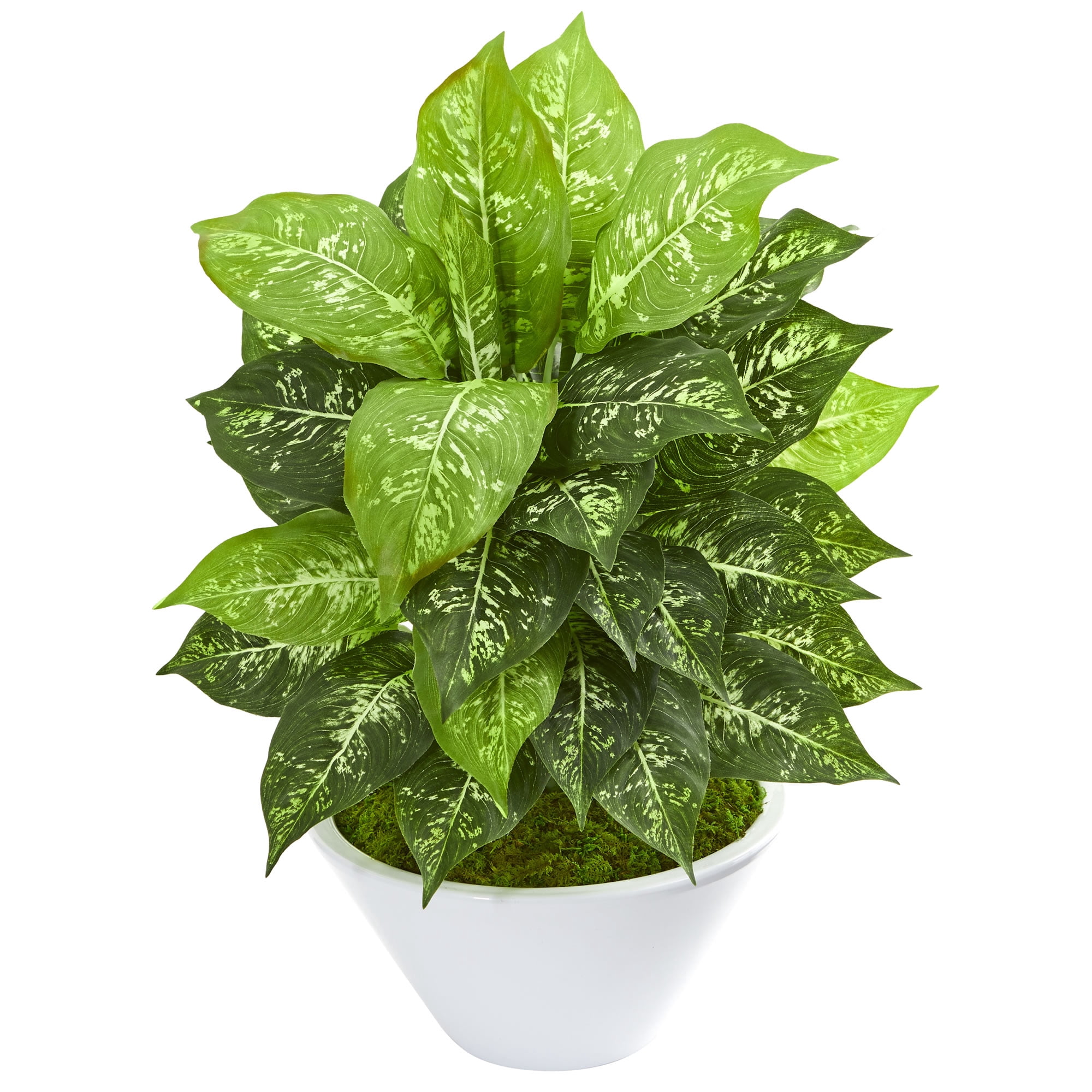 Nearly Natural Dieffenbachia Artificial Plant in White Bowl, Green