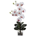 thumbnail image 1 of Nearly Natural Double Giant Phalaenopsis Orchid Artificial Flower with Vase, White, 1 of 1