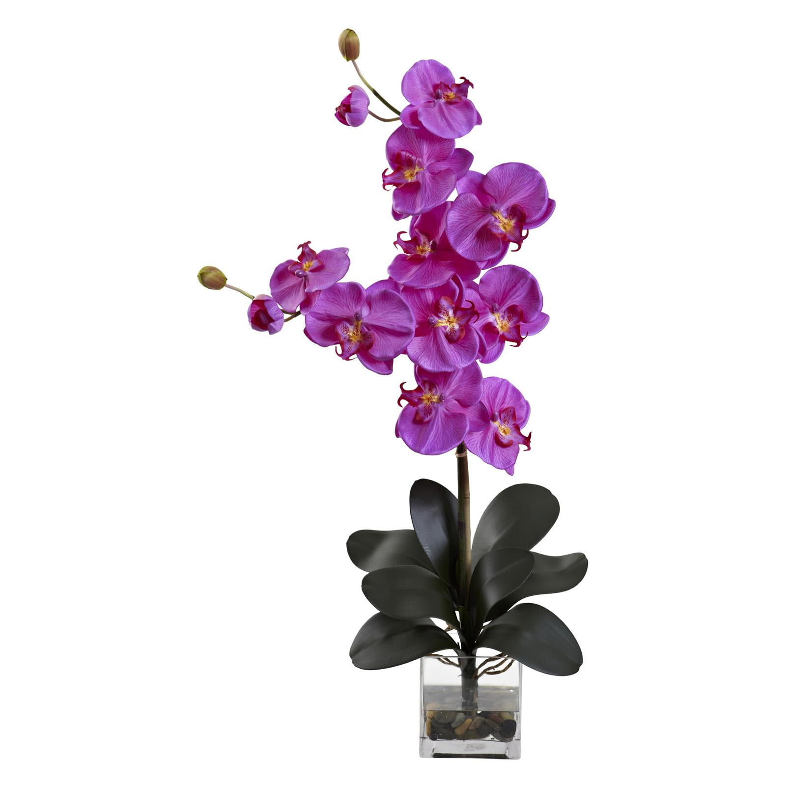 Elegant Orchid Phalaenopsis in Illusion Water Vase, 35" Height