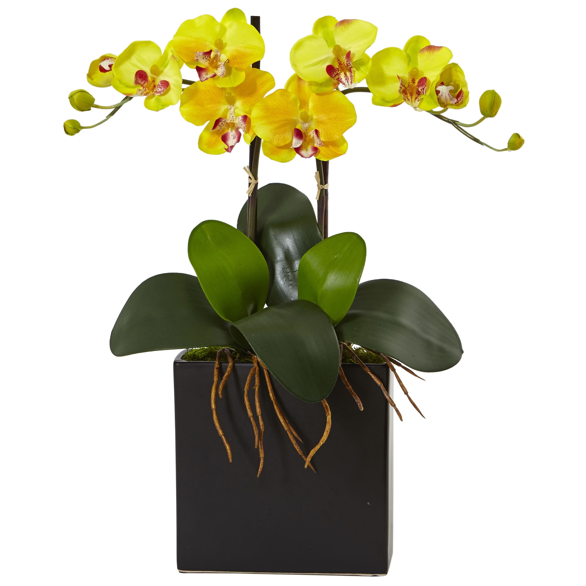 Nearly Natural Double Mini Phalaenopsis Silk Orchid in Black Vase