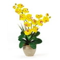 thumbnail image 1 of Nearly Natural Double Phalaenopsis Artificial Orchid Flower Arrangement, Yellow, 1 of 2