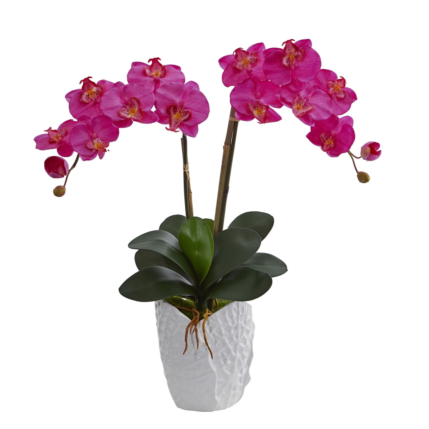 Dark Pink Double Phalaenopsis Orchid in Textured White Vase