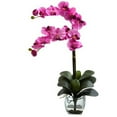 thumbnail image 1 of Nearly Natural Double Phalaenopsis Orchid w/Vase Arrangement, 1 of 8