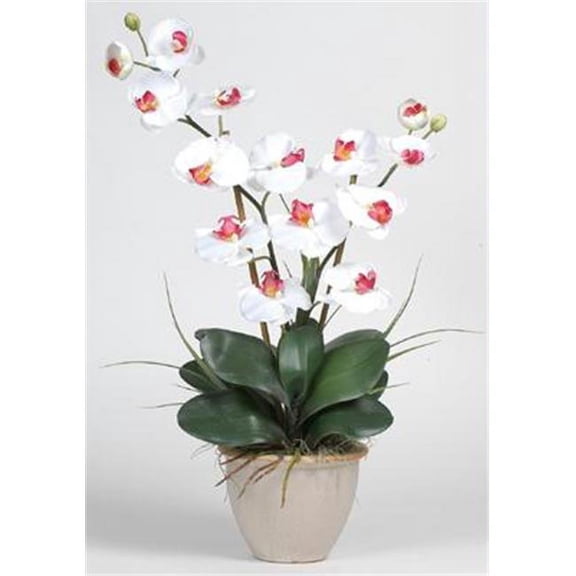 Nearly Natural Double Stem Phalaenopsis Silk Orchid Arrangement - White - 25in.
