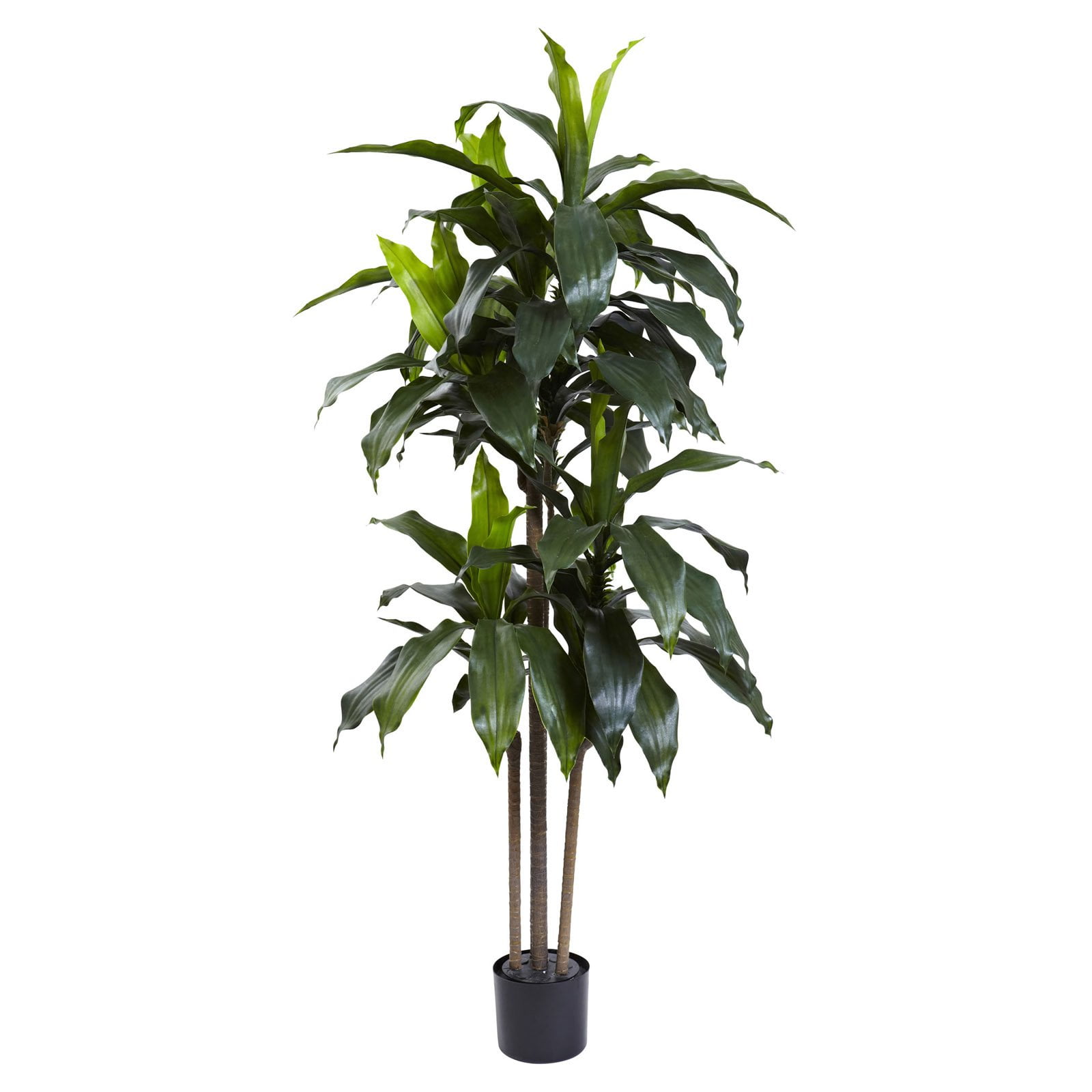 5-Foot Green Plastic Dracaena Plant with Lights