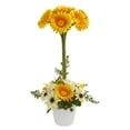 thumbnail image 1 of Nearly Natural Gerber Daisy Artificial Arrangement in Ceramic Vase, 1 of 2