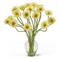 thumbnail image 1 of Nearly Natural Gerber Daisy Liquid Illusion Silk Flower Arrangement, Cream, 1 of 2