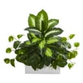 thumbnail image 1 of Nearly Natural Golden Dieffenbachia & Pothos Artificial Plant, 1 of 1