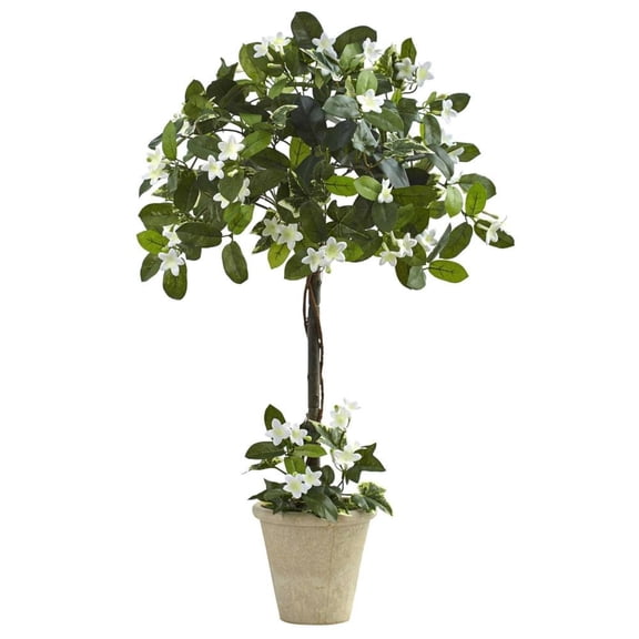 3" Stephanotis Topiary w/Planter