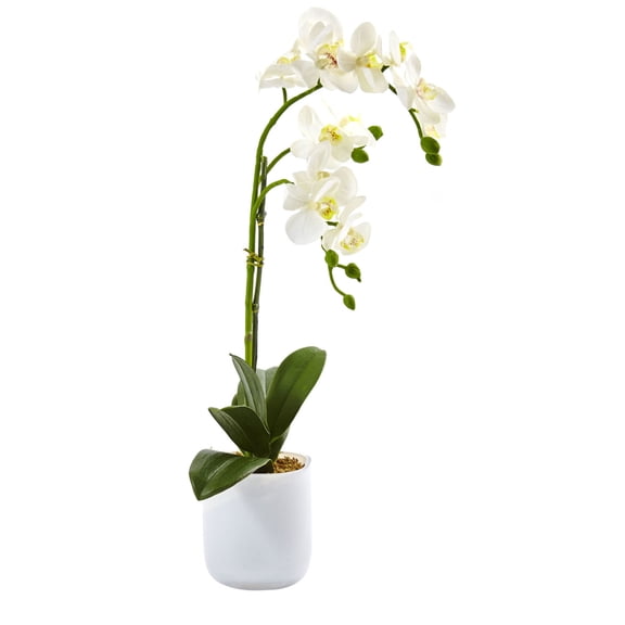 Nearly Natural Phalaenopsis Orchid with Frosted Glass Pot in White