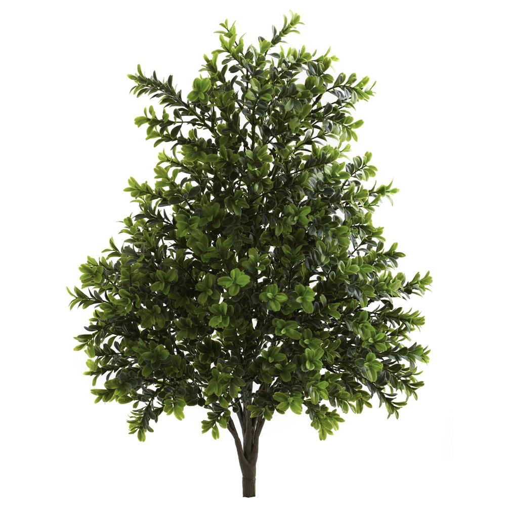 Lush Green Boxwood Outdoor Potted Arrangement Set