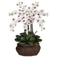 thumbnail image 1 of Nearly Natural Large Phalaenopsis Silk Flower Arrangement, White, 1 of 9