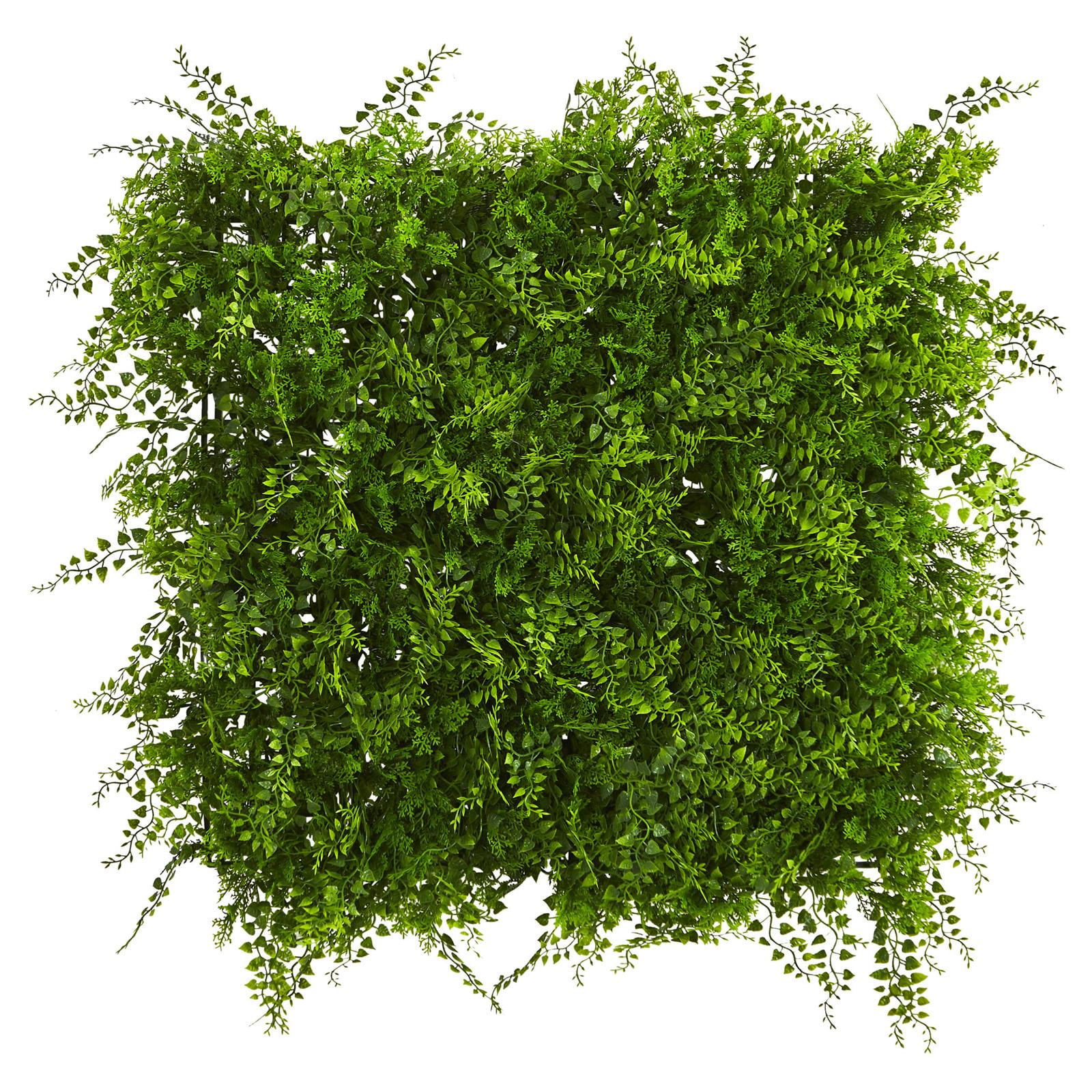 Indoor Grass Wall