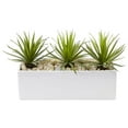 thumbnail image 1 of Nearly Natural Mini Agave Artificial Plant in Rectangular Ceramic, 1 of 5
