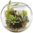 thumbnail image 1 of Mix Succulent Garden with Glass Vase, 1 of 4