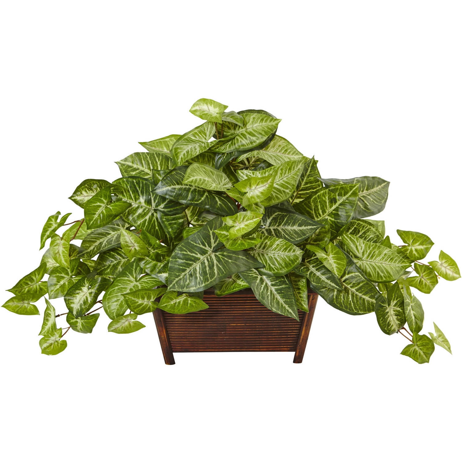 Nearly Natural Nephthytis in Wood Planter