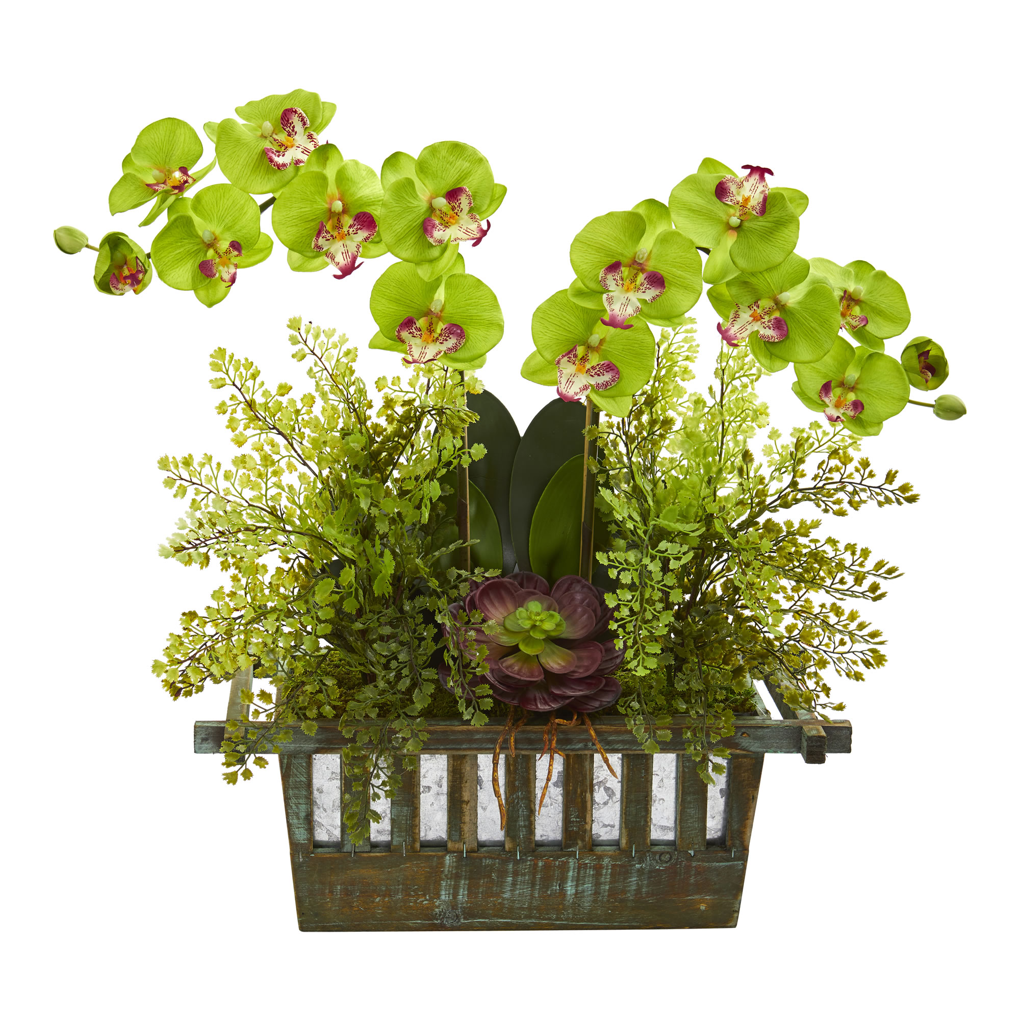 Nearly Natural Orchid, Succulent and Maiden Hair Artificial Arrangement