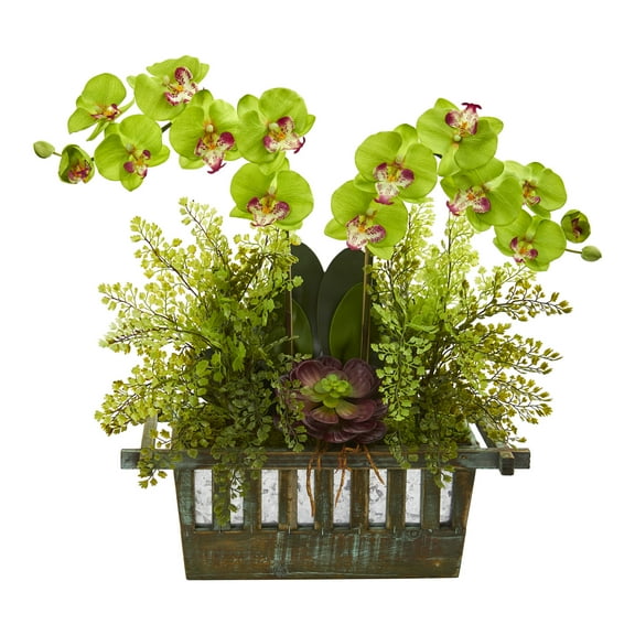 Nearly Natural Orchid, Succulent and Maiden Hair Artificial Arrangement