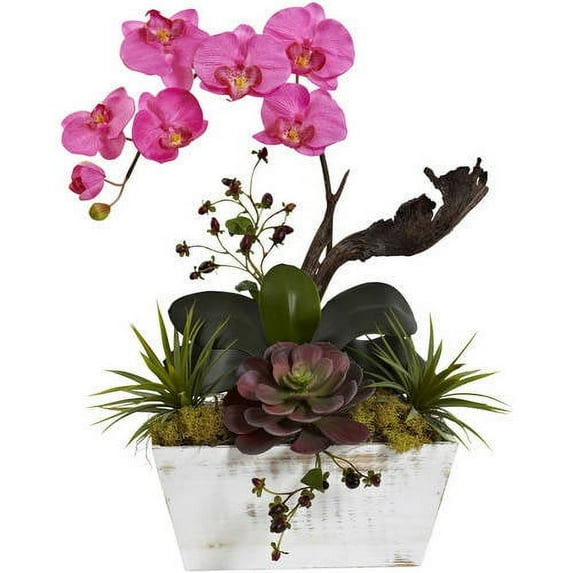 Nearly Natural Orchid and Succulent Garden with White Wash Planter