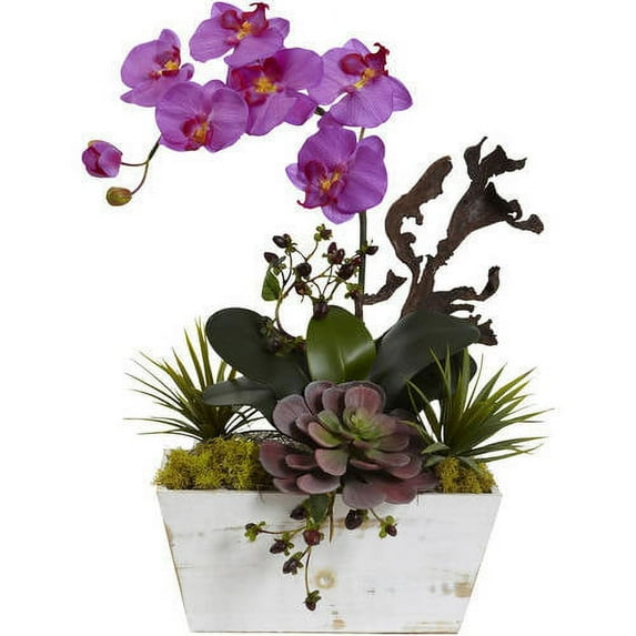 Nearly Natural Orchid and Succulent Garden with White Wash Planter