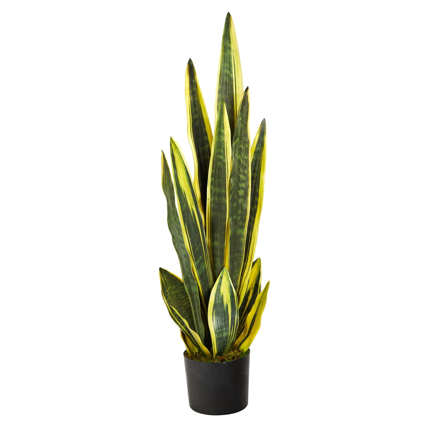 Lifelike Variegated Sansevieria 38" Artificial Plant in Nursery Pot