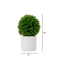 thumbnail image 1 of Nearly Natural P1916 10 in. Artificial Boxwood Topiary Plant with Decorative Planter, Green, 1 of 5