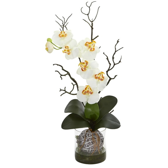 Nearly Natural Phalaenopsis Orchid Artificial Arrangement in Vase