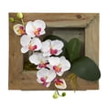 thumbnail image 1 of Nearly Natural Phalaenopsis Orchid Artificial Arrangement in Wooden Picture Frame, 1 of 3