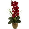 thumbnail image 1 of Nearly Natural Phalaenopsis Orchid Silk Arrangement in Ceramic Vase, 1 of 3