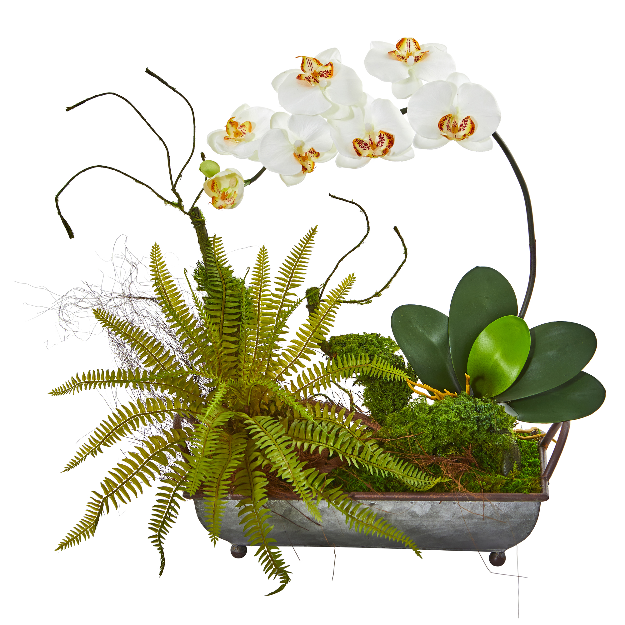 Nearly Natural Phalaenopsis Orchid and Fern Artificial Flower Arrangement in Metal Tray, Beige