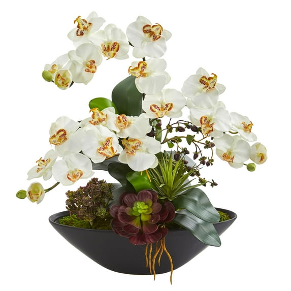 Nearly Natural Phalaenopsis Orchid and Mixed Succulent Garden Artificial Arrangement in Black Vase