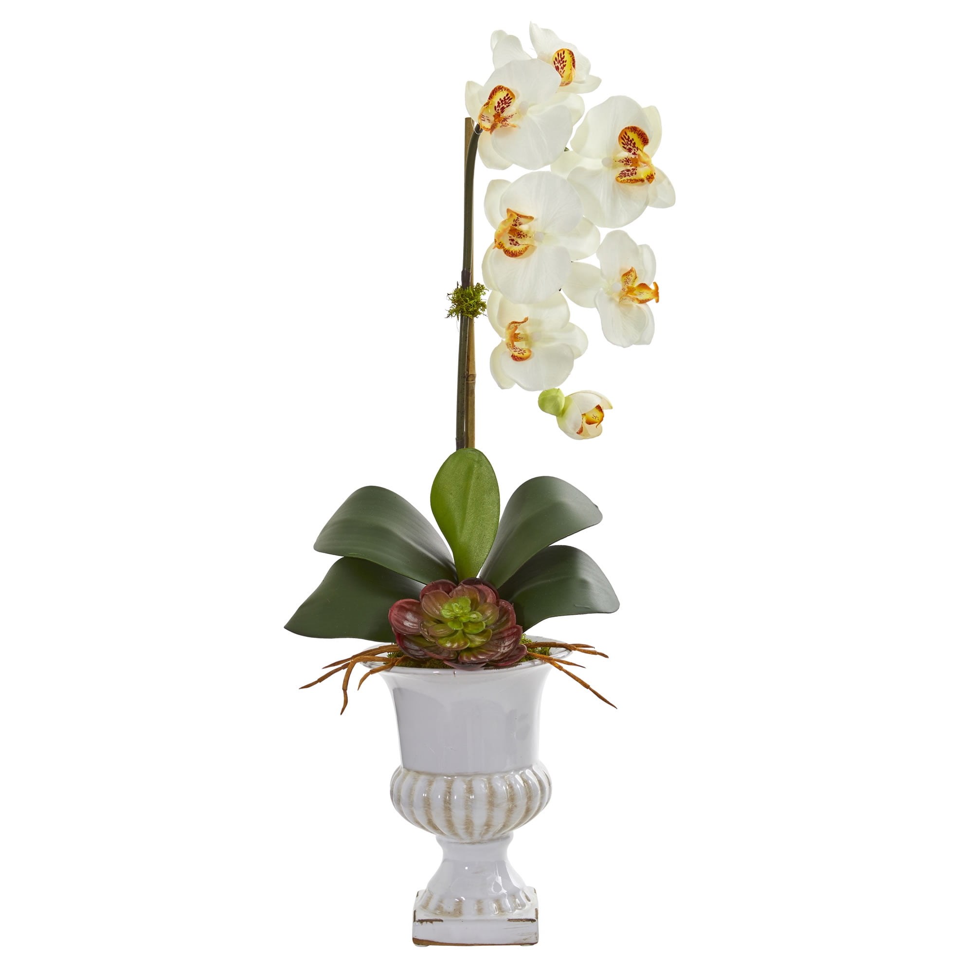 Nearly Natural Phalaenopsis Orchid and Succulent Artificial Arrangement in Urn, Cream