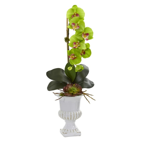 Nearly Natural Phalaenopsis Orchid and Succulent Artificial Arrangement in Urn
