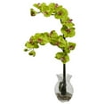 thumbnail image 1 of Phalaenopsis Orchid w/Vase Arrangement, 1 of 2