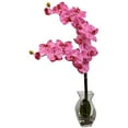 thumbnail image 1 of Phalaenopsis Orchid w/Vase Arrangement, 1 of 2