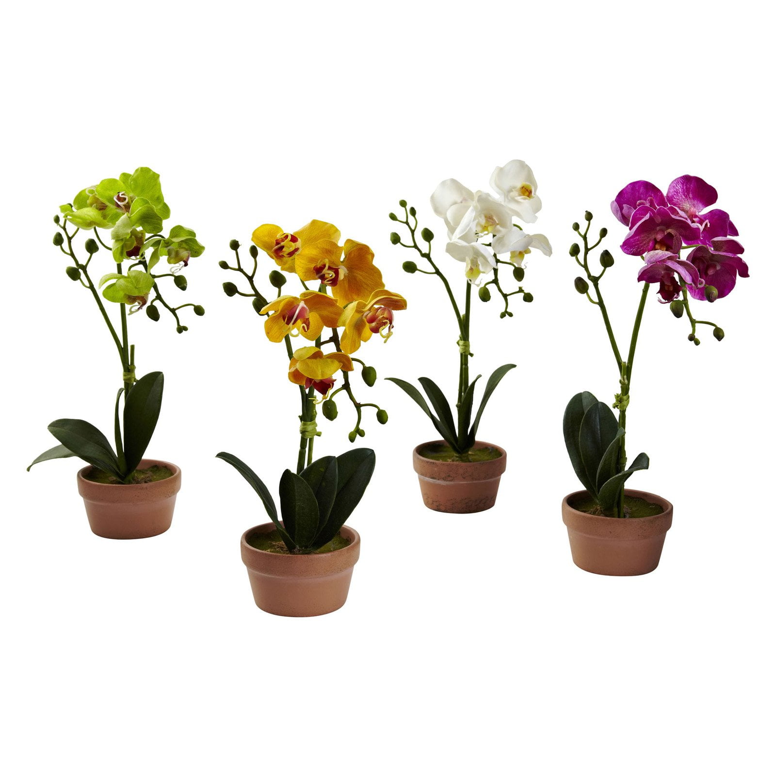 Set of 4 Multicolor Faux Orchid Plants in Clay Pots