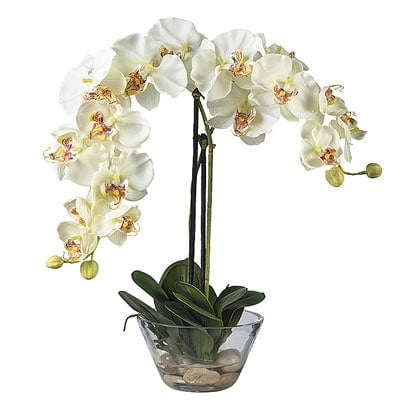 Orchid Elegance 29'' White Phalaenopsis Outdoor Tabletop Arrangement