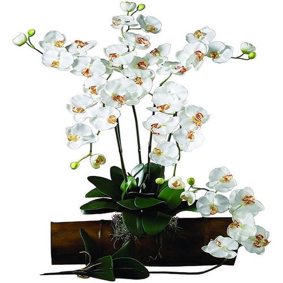 Nearly Natural Phalaenopsis Stem, Cream, 12pc