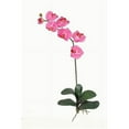 thumbnail image 1 of Nearly Natural Phalaenopsis Stem, Dark Pink, 12pc, 1 of 9