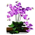 thumbnail image 1 of Nearly Natural Phalaenopsis Stem, Mauve, 12pc, 1 of 3