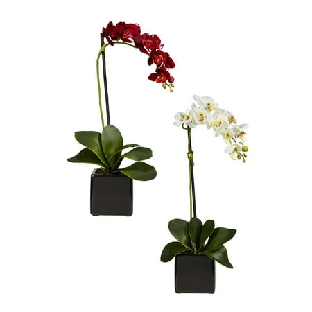 Nearly Natural Phaleanopsis Orchid Silk Arrangement with Black Vase, Red/White, 2pc