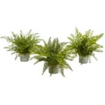 thumbnail image 1 of Nearly Natural Plastic 14" Assorted Green Ferns Artificial Plant with Planter, Set of 3, 1 of 3