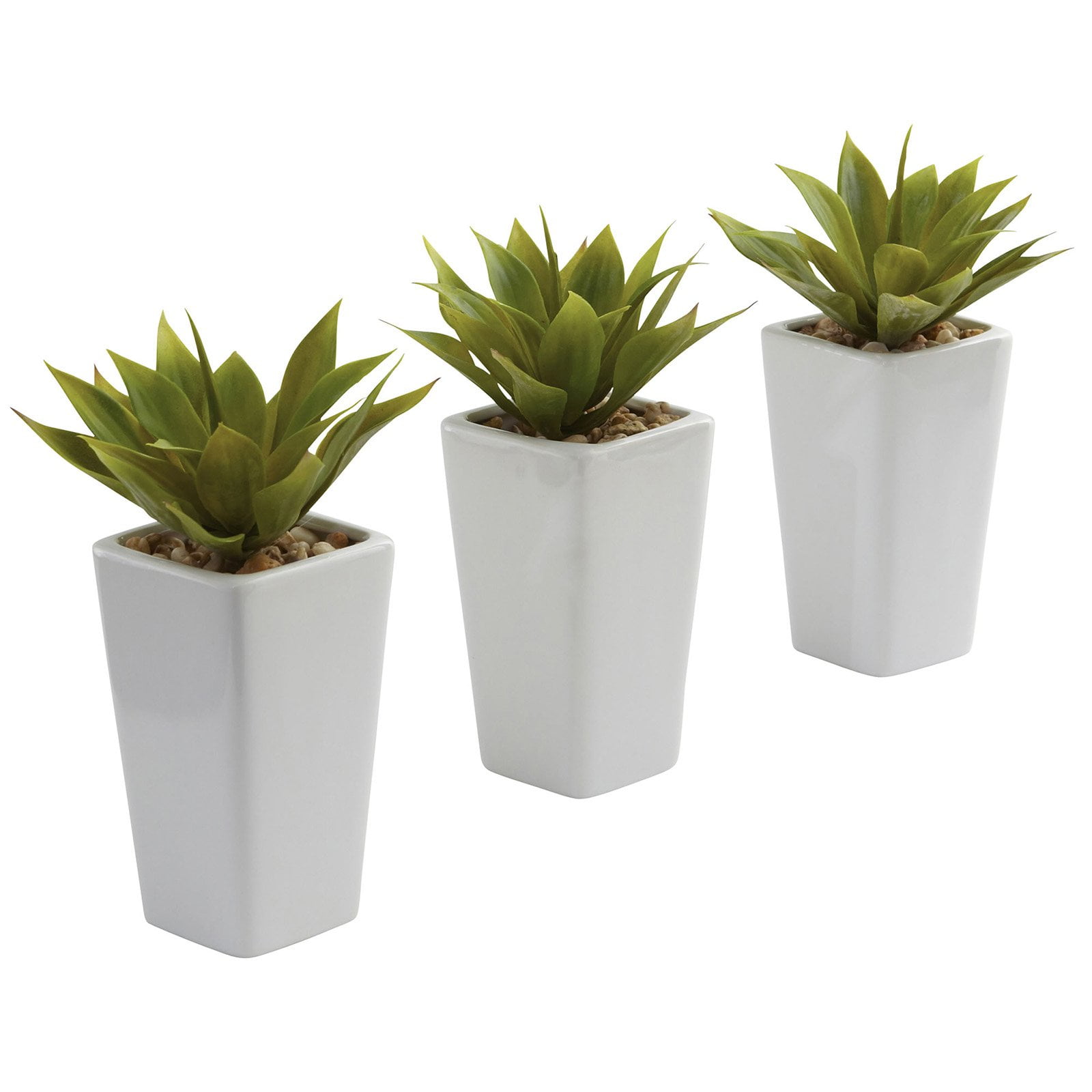 Set of 3 Mini Green Agave Plants in White Plastic Planters