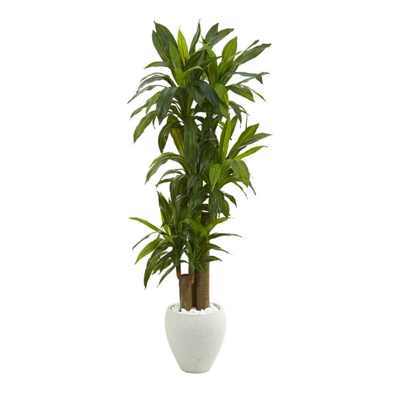 Nearly Natural Plastic Green 64" Corn Stalk Dracaena Artificial Plant in White Planter