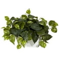 thumbnail image 1 of Nearly Natural Pothos with White Wash Planter - Silk Plant Green, 1 of 5