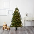 thumbnail image 1 of Nearly Natural Prelit 6' Pine Artificial Christmas Tree, Green, 1 of 8