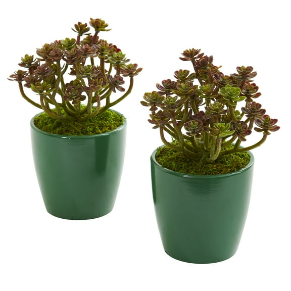 Nearly Natural Sedum Artificial Plant in Green Planter (Set of 2)