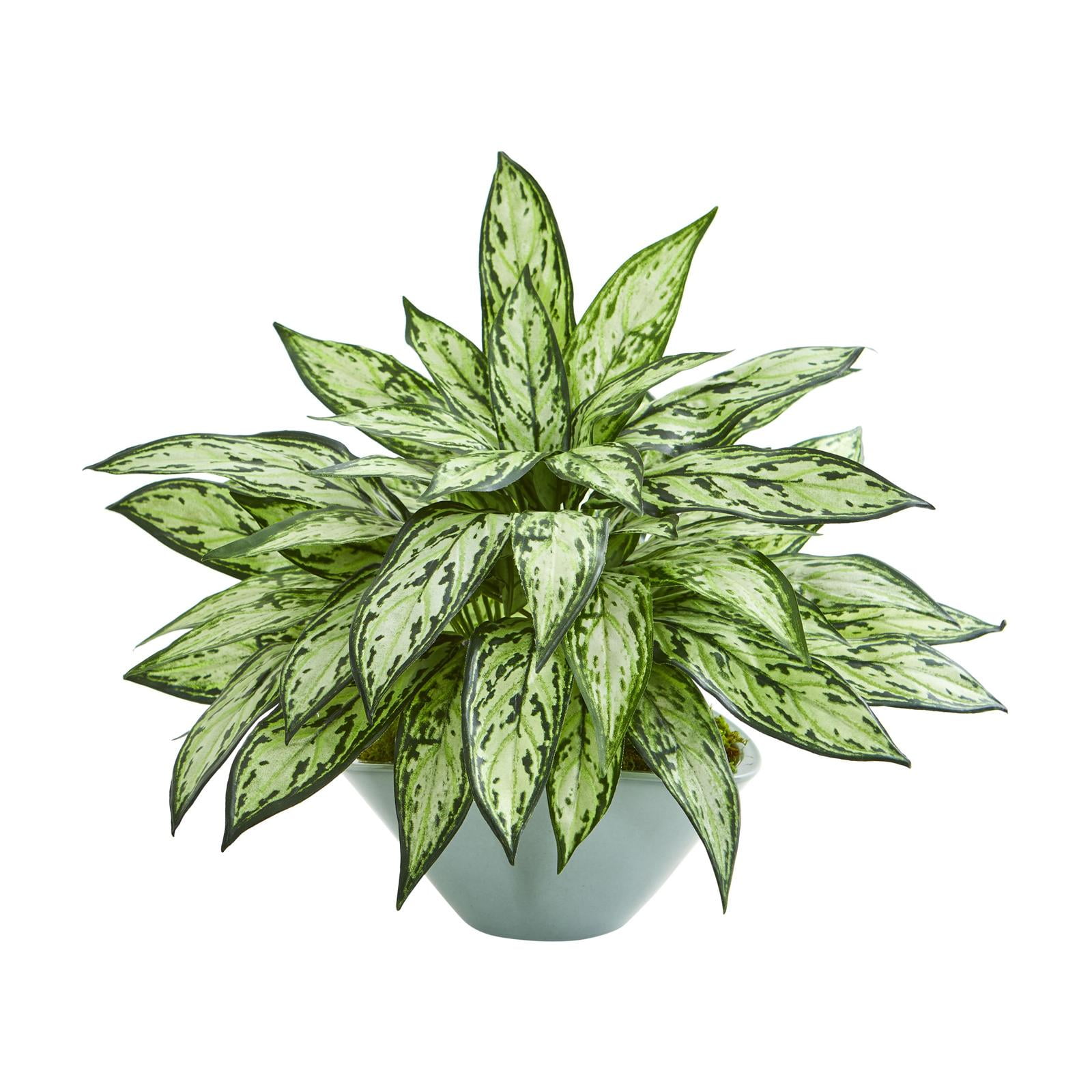 16-Inch Variegated Green Aglaonema Faux Plant in Green Vase