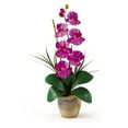 thumbnail image 1 of Nearly Natural Single Stem Phalaenopsis Orchid Silk Flower, 1 of 2